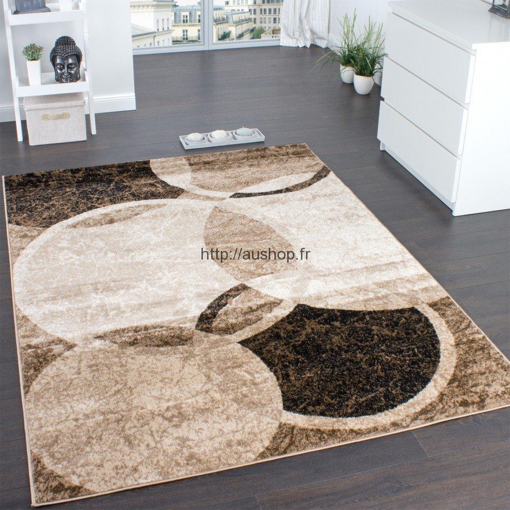 Salon design marron beige: tendance couleurs decoration associer ...