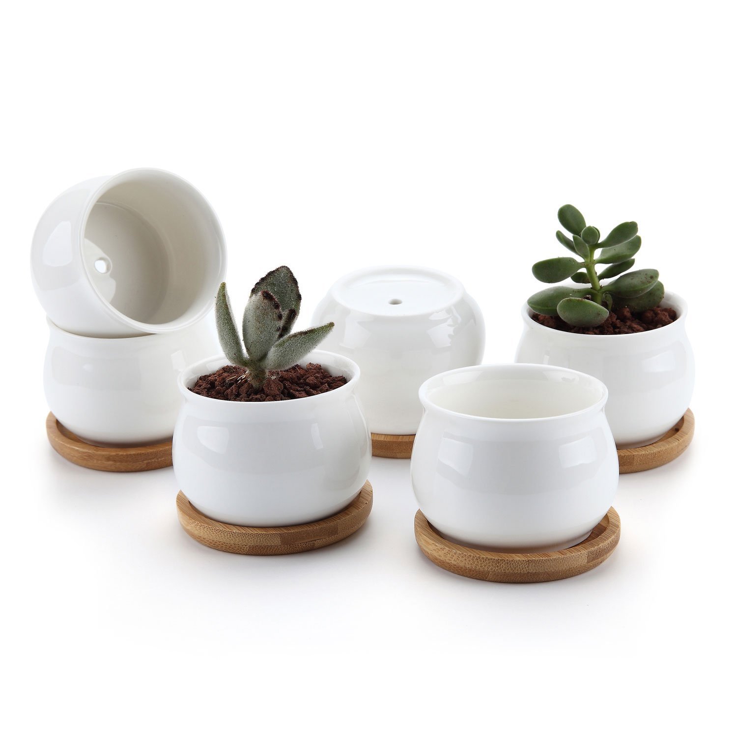 Pot de Fleur en Céramique de Forme Rond /et Plateau de Bambou/Pots de Cactus/Plante en Pot/Cultiver 1 Paquet de 6
