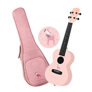 Guitare acoustique pas cher amazon