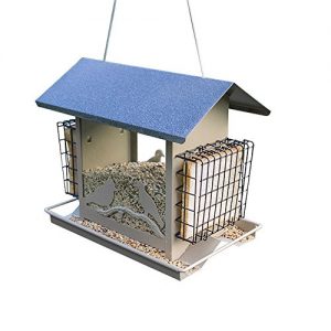 Mangeoire D'oiseaux Pour Cardinal Pas cher