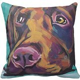 labrador chocolat Pas cher