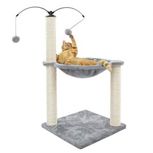 Jouet pour chat pas cher amazon