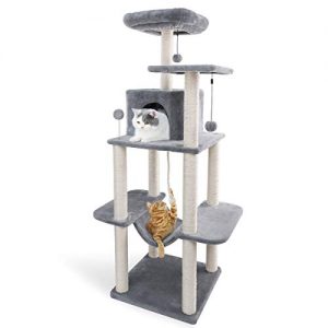 Gamelle pour chat fille sur amazon pas trop cher