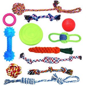 Jouet pour chien pas cher amazon