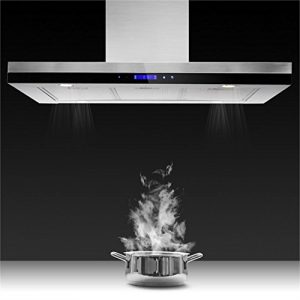 Four pyrolyse pas cher amazon