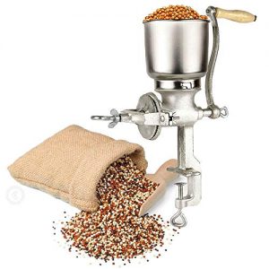 Amazon coussin graines de lin pas cher