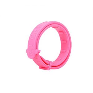 Collier d'ambre pas cher amazon