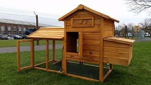 Faire un poulailler pas cher 6 poules amazon