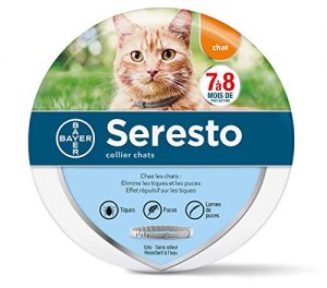 Collier pour chat pas cher amazon
