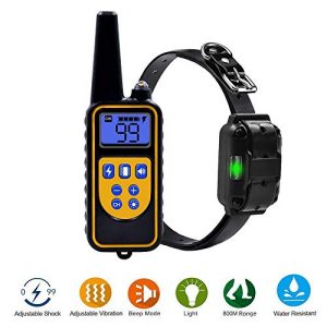 Collier de dressage pour petit chien amazone pas chere