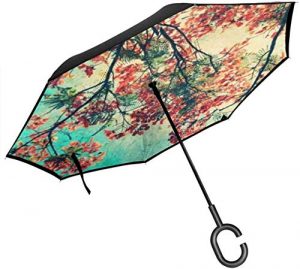 Amazon parapluie pas cher orange