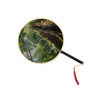 Amazon ventilateur pas cher