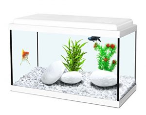 Grand aquarium pas cher sur amazon