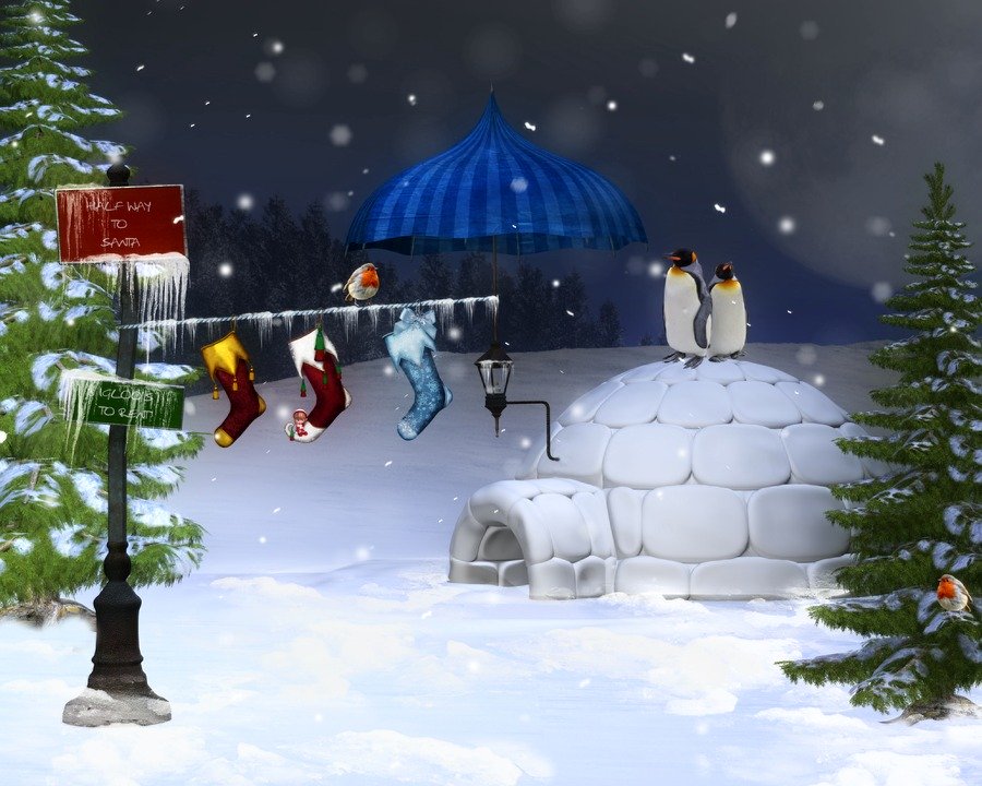 Decoration de noel exterieur igloo