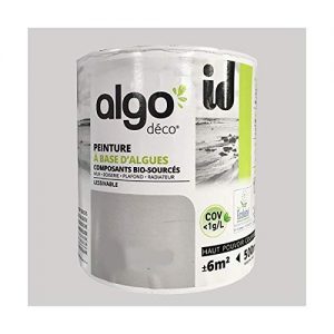 Algo Peinture