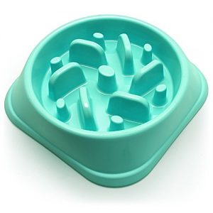 Acheter croquette chien Pas cher