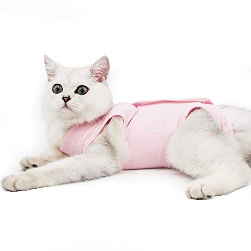 Alternative Litière Chat Pas cher