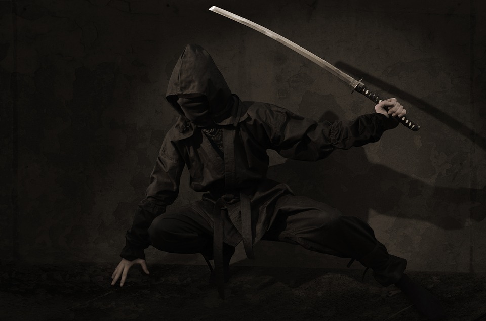 Le culte du Ninja et le Japon feodal