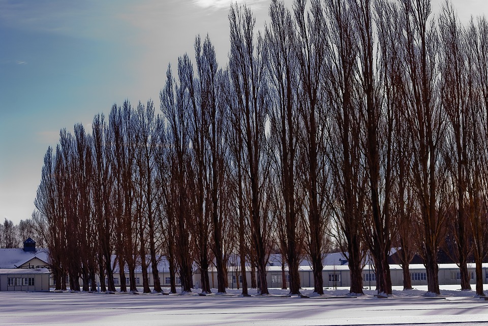 Quelques faits surprenants à découvrir sur Adolf Hitler