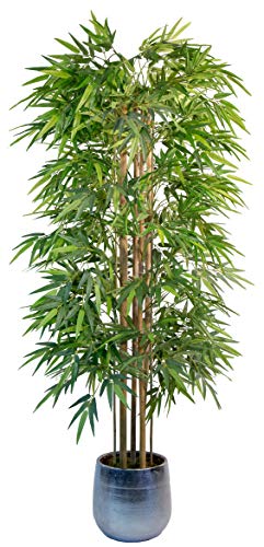 Pot de fleur pas cher amazon
