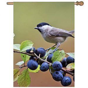 Chocolat Noel Discount Pas cher