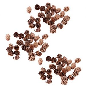 Deco Noel Pomme De Pin 2019 Pas cher