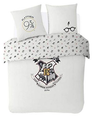 Deco Noel Harry Potter 2019 Pas cher