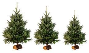 Sapin Noël Naturel 2019 Pas cher
