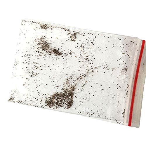 Anémie Et Thé Pas cher