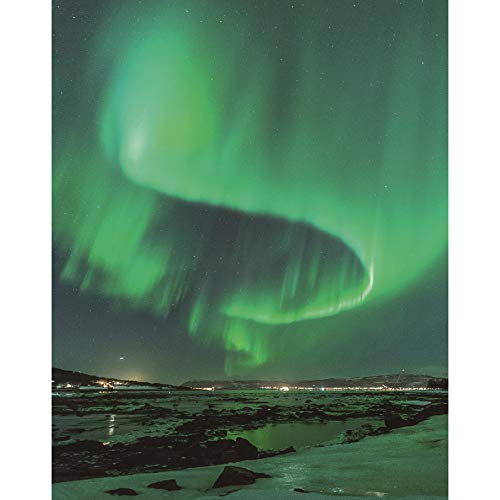 Amazon Rouleau Peinture